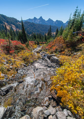 A Glacieal Stream running from Mt. Raineir