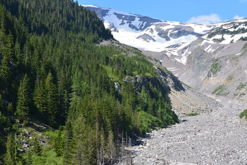 Fototapeta premium Rainier and Olympic Mountains