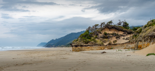 Fototapeta na wymiar Oregon Coast Beach
