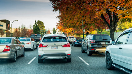 Cars stacked in traffic  on a nice street during autumn.