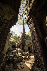 Naklejka premium (Selective focus) Amazing view of the Angkor Wat ruins in Siem Reap, Cambodia. Angkor Wat is a temple complex in Cambodia and one of the largest religious monuments in the world.