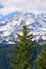 Rainier and Olympic Mountains