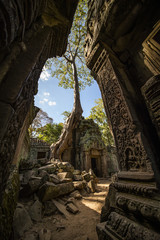 (Selective focus) Amazing view of the Angkor Wat ruins in Siem Reap, Cambodia. Angkor Wat is a temple complex in Cambodia and one of the largest religious monuments in the world.