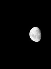 Obraz premium Moon