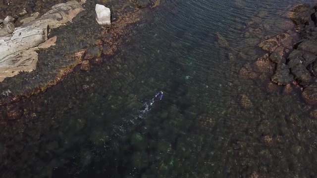 Unrecognizable diver swimming up stream in crystal clear canadian stream