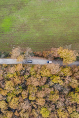 Aerial view of the Italian wild forest with a country road passing in the middle. Winter season in Italy.