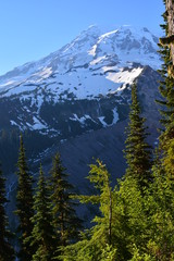 Rainier and Olympic Mountains