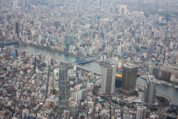 Fototapeta na wymiar Bridge in Rio Suma in Tokyo