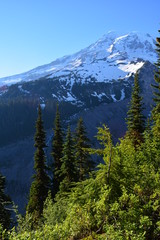 Rainier and Olympic Mountains