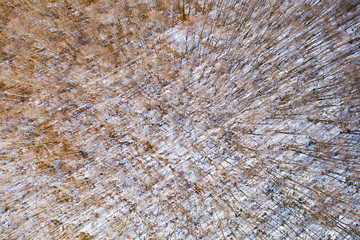 Aerial view of a beautiful Italian snowy forest. Winter season in Italy.