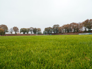 worms eye view of Rural soccer pitch in Germany - 240065306