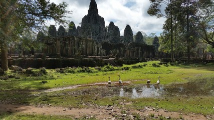 Fototapeta na wymiar Temple in Siam Reap