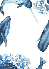 Watercolor frame with whale, sperm whale, narwhal, fish. Marine template with water splashes for postcard, invitation, logo, quote. © MarinaErmakova