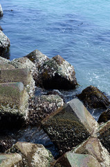 テトラポットの風景