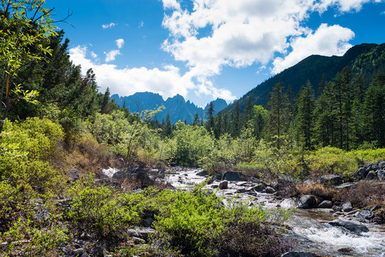 Travel the mountains Dusse Alin Russia far East Khabarovsk Krai. Rapid Creek a Creek in the mountains of Dusse Alin.