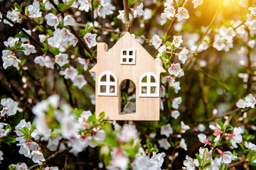     The symbol of the house in the branches with white flowers 