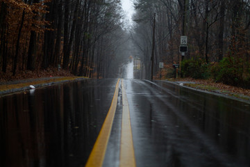 Fototapeta premium road in the fog