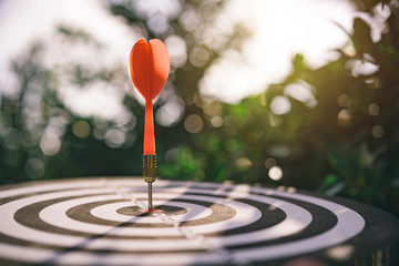 Bullseye is a target of business. Dart is an opportunity and Dartboard is the target and goal. So both of that represent a challenge in business marketing as concept.