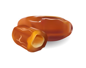 Vector realistic illustration of dried dates