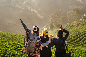 The 3 Asian female Travelers with The beautiful Landscape, strawberry plantation in the morning with the mist, at Ban Nor Lae, Doi Ang Khang, Chaing Mai, Thailand. Explore with best friend