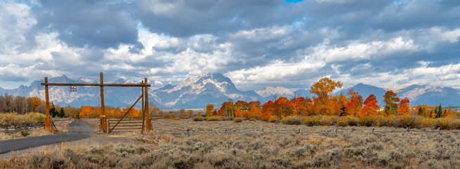 Red, yellow, and orange leaves changing with mountain in background