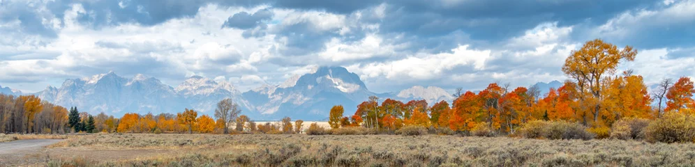 Crédence de cuisine en verre imprimé Chaîne Teton Red, yellow, and orange leaves changing with mountain in background