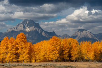 Red, yellow, and orange leaves changing with mountain in background