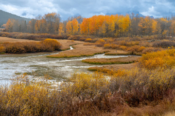 Fototapeta na wymiar Autumn Colors of Mountain and Lake in the Grand Tetons, National Park