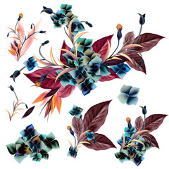 Collection of vector flowers for design