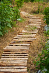 arrangement of wooden boards used as a path in the garden