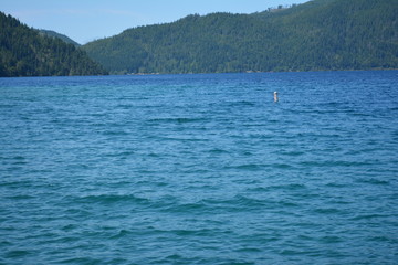 Beautiful Washington