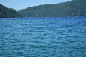 Beautiful Washington