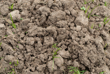 dry land prepared for agricultural land