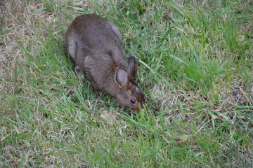 Beautiful Washington