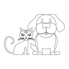 Dog and cat animals in black and white