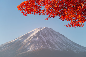 Fuji mountain and red maple trees at lake Kawaguchiko, Japan.