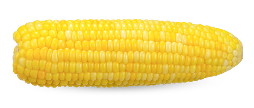 Sweet corn isolated om white clipping path