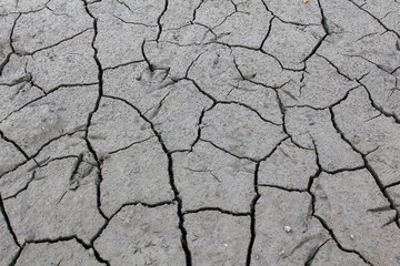 Dried and cracked mud creates interesting patterns