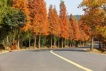 Fototapeta na wymiar Beautiful Autumn Landscape