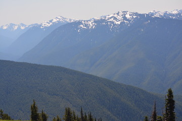 Olympic National Park