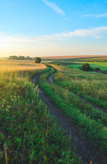 Fototapeta premium Sunny summer landscape with ground country road passing through the wheat fields and green meadows.