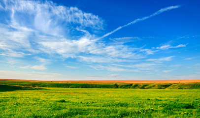 Sunny summer landscape with wide green meadow with lush grass and golden wheat field on a background of blue sky with beautiful fluffy clouds.
