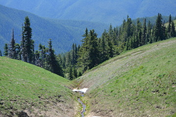 Olympic National Park