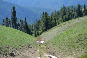 Olympic National Park