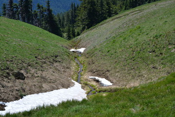 Olympic National Park