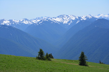 Olympic National Park