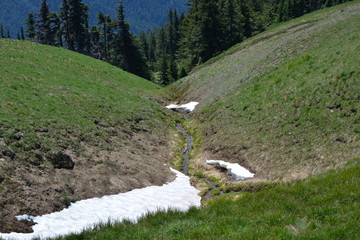Olympic National Park
