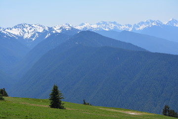 Olympic National Park