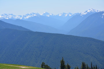 Olympic National Park