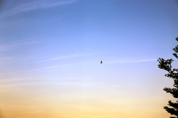 Beautiful clear sky background in the evening